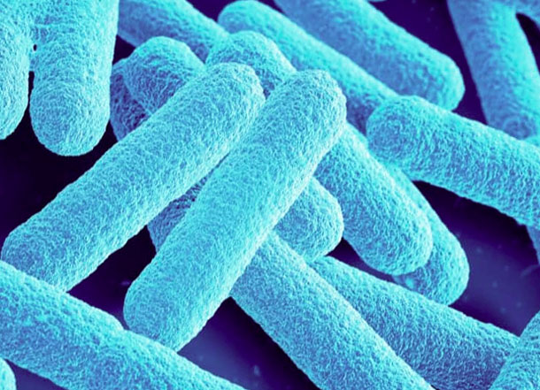 E-Coli désinfection de l'eau UV Blog Nordic Tec